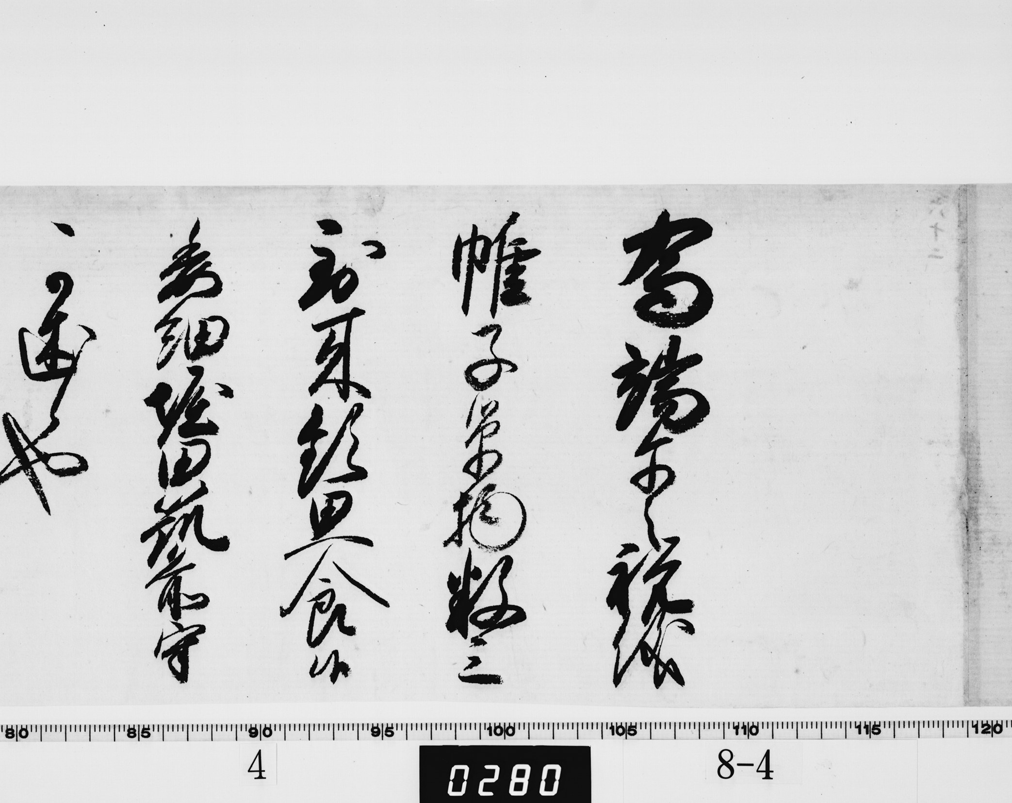 徳川綱吉御内書の画像