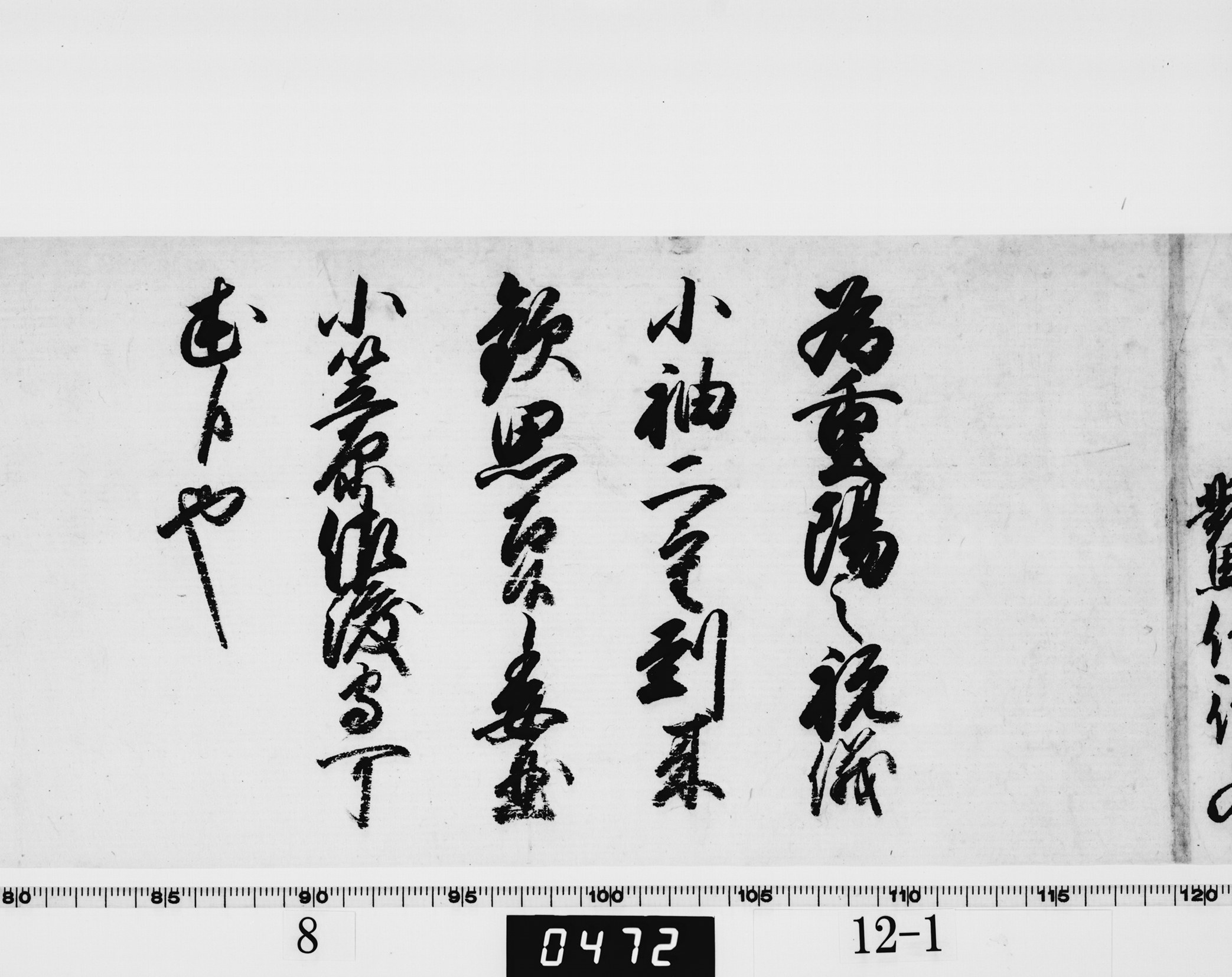 徳川綱吉御内書の画像