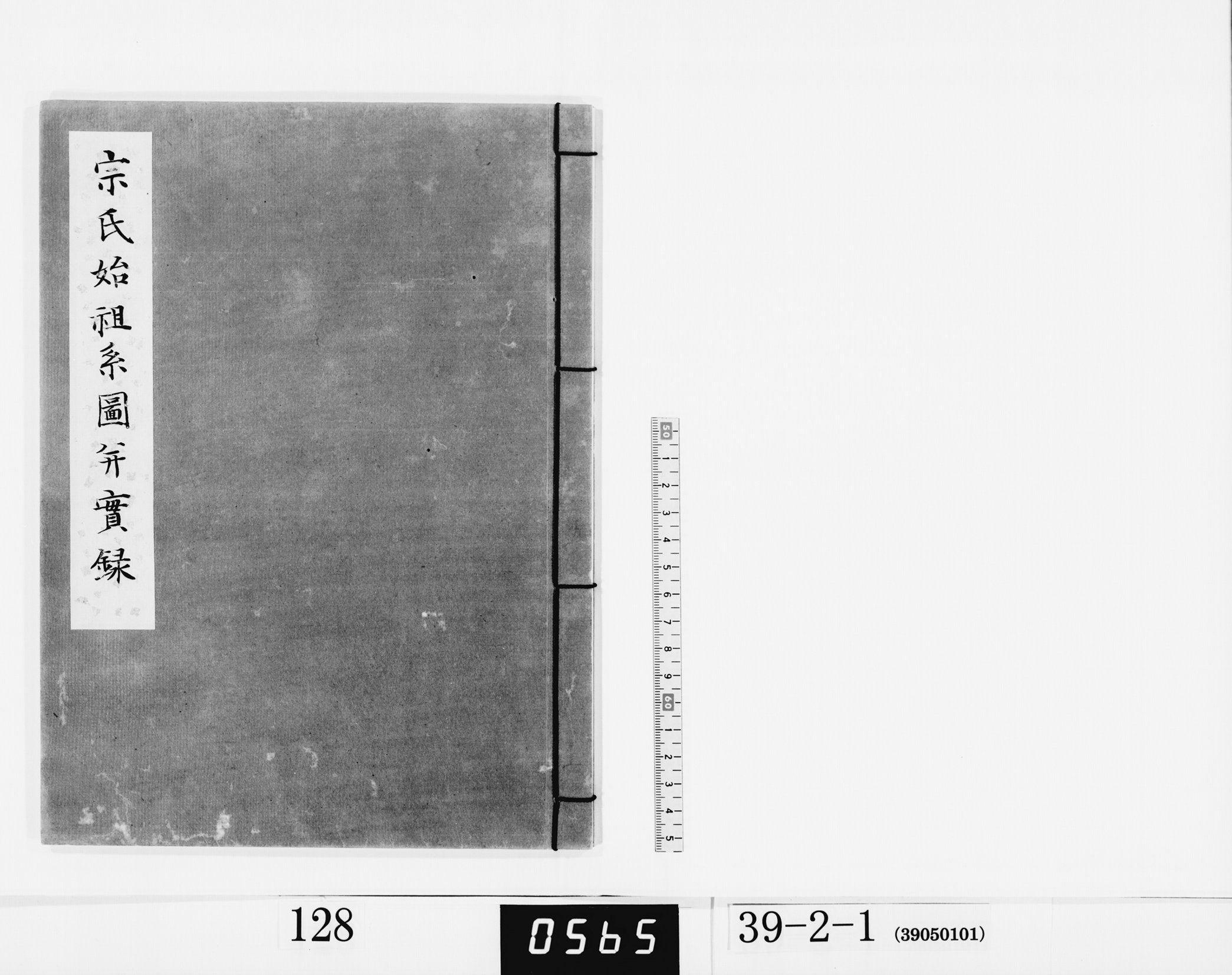 宗氏始祖系図并実録の画像
