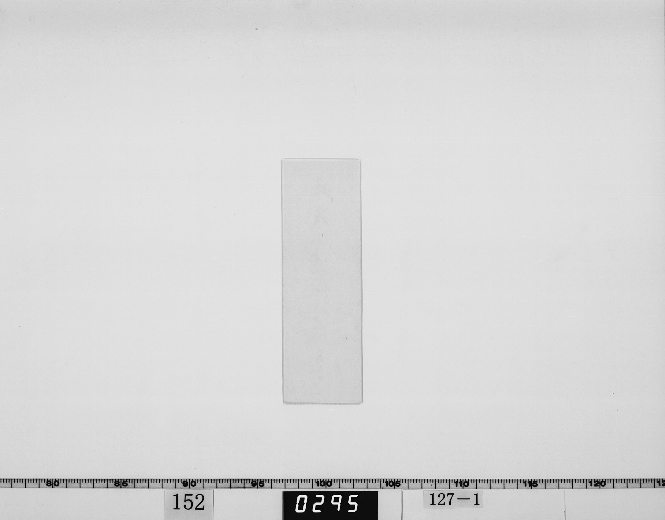 小笠原家よりの免状の画像