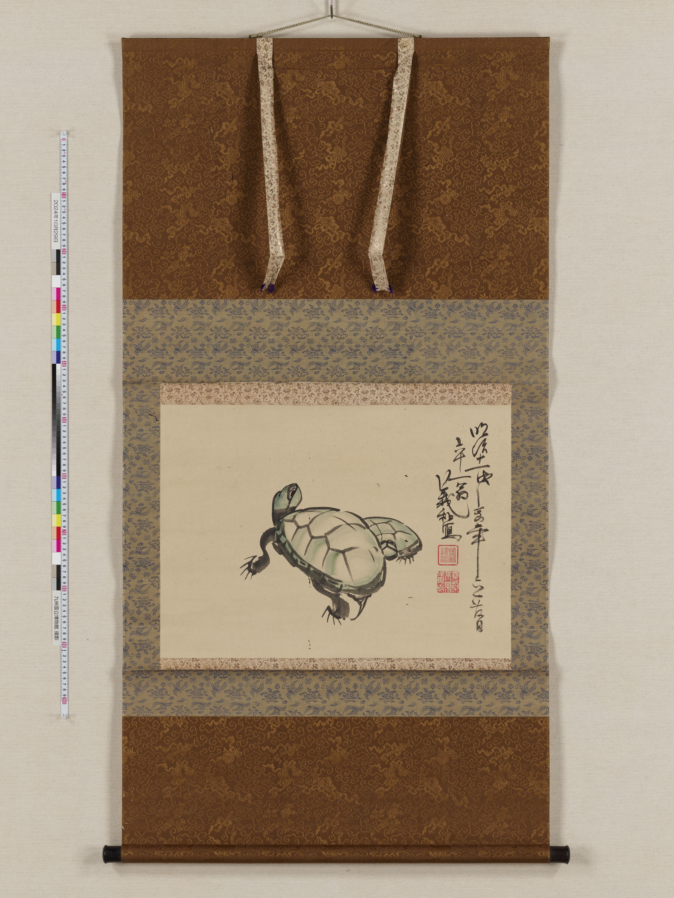 義和公写亀図の画像