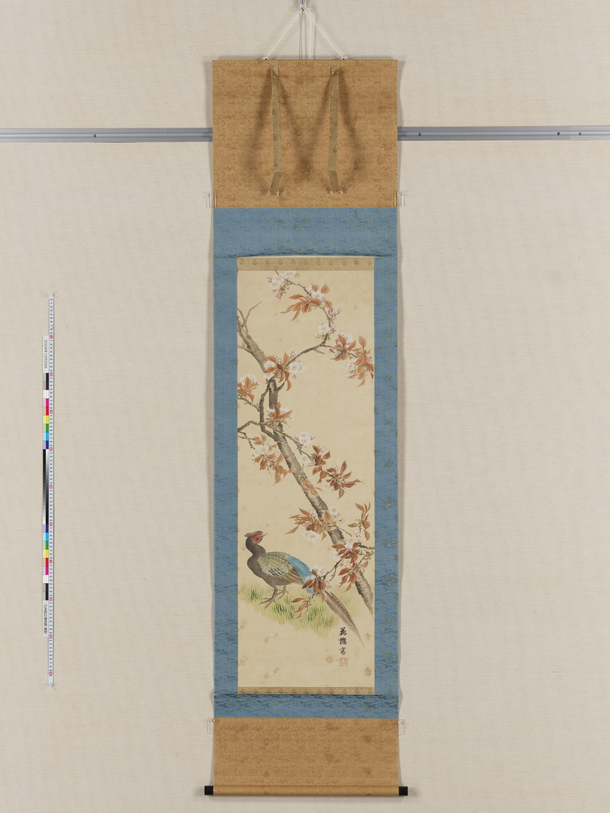 桜花雉子図の画像