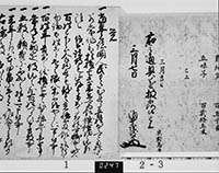 本紙