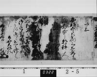本紙