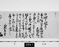 本紙