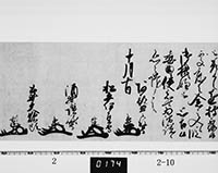 本紙