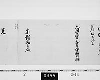 本紙