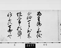 徳川家綱御内書
