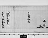 本紙