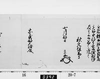 本紙