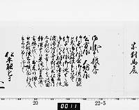 本紙