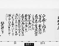 本紙