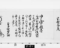 本紙