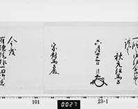 本紙