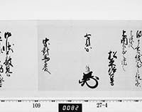 本紙