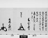 本紙