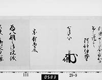 本紙