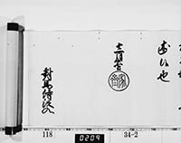 本紙