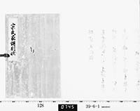 宗氏家譜副状の画像