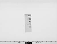 宗義達書付写の画像