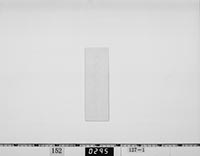 小笠原家よりの免状の画像