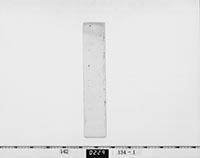 （藩主）書付の画像