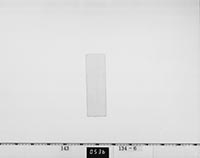 野宮定功書状の画像