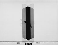 宗義真還暦の御祝詞の画像