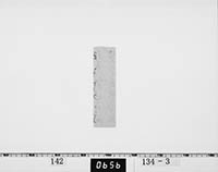 宗義和書状の画像