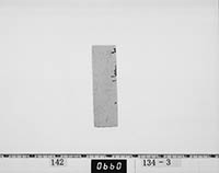 宗義和書状の画像