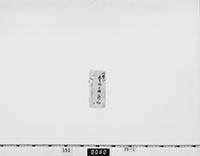 〔嘉吉姫ノ緋之袴之切〕